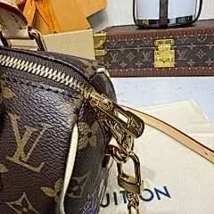 X TM Speedy Bandoulière 20 Handbag Monogram Silk Print Chip Exclusive asasshop