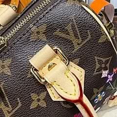 X TM Speedy Bandoulière 20 Handbag Monogram Silk Print Chip Exclusive asasshop