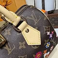 X TM Speedy Bandoulière 20 Handbag Monogram Silk Print Chip Exclusive asasshop