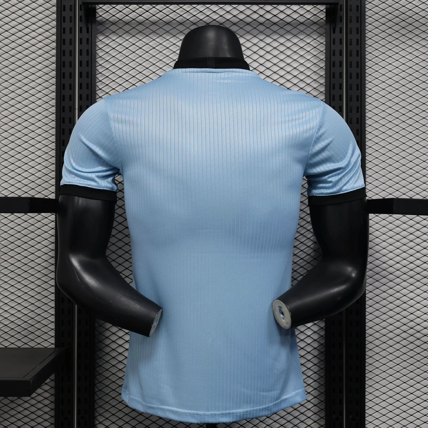 2025-26 Germany DFB 125-year Anniversary Blue Player S-2XL asasshop