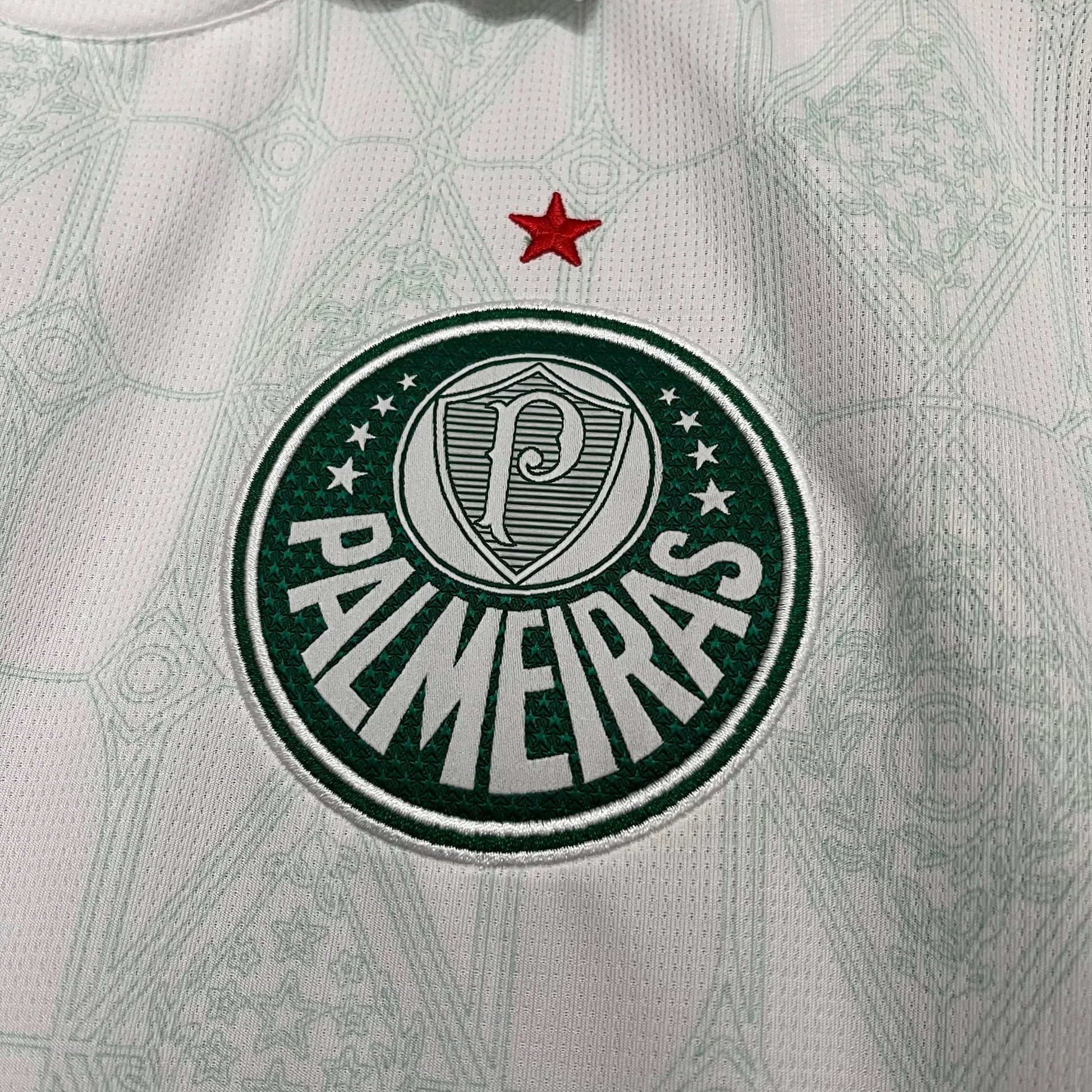 2025-26 Palmeiras away S-4XL asasshop