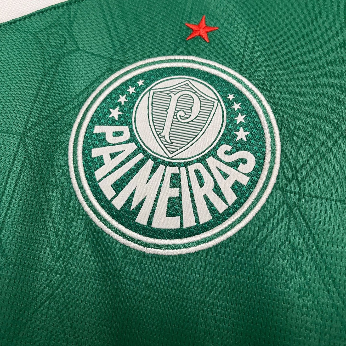 2025-26 Palmeiras home S-4XL asasshop