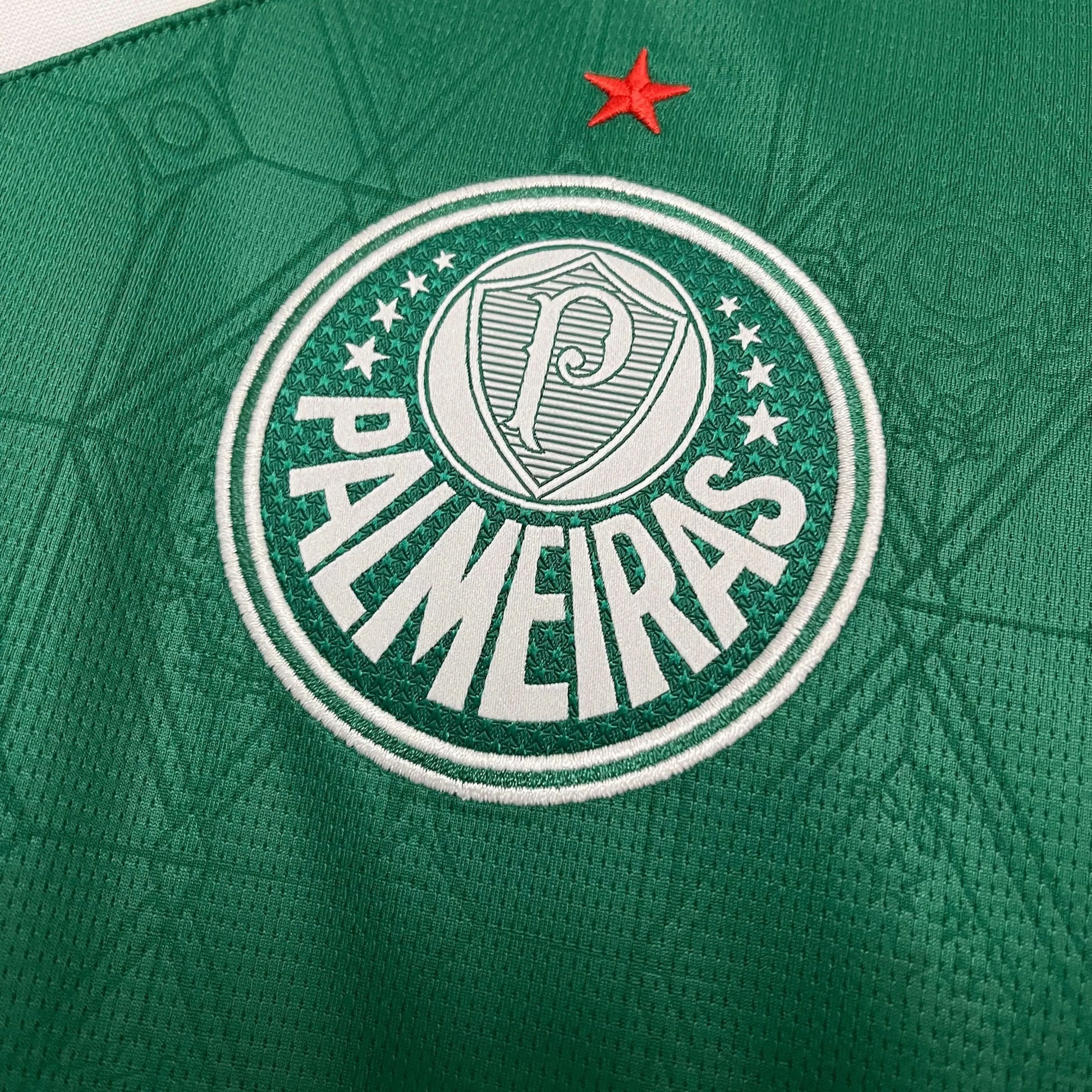 2025-26 Palmeiras home S-4XL asasshop