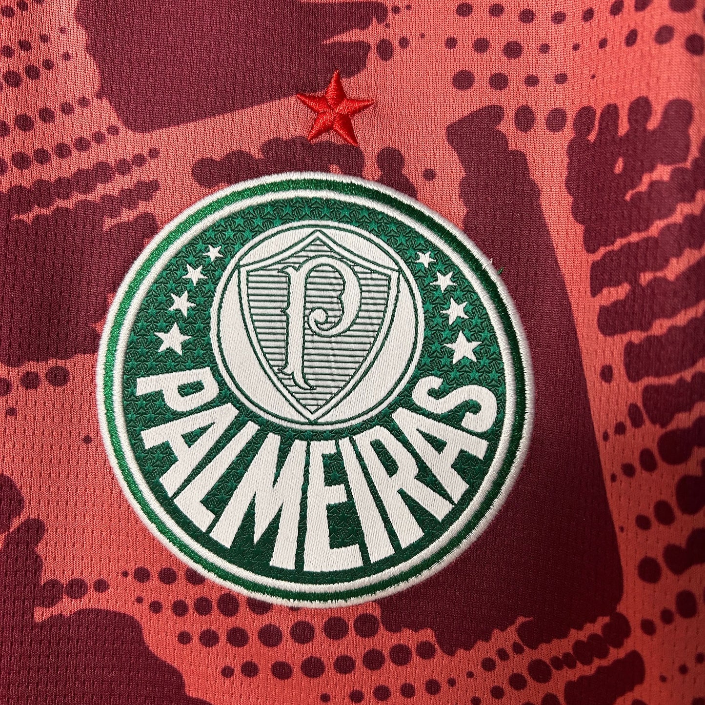 2025-26 Palmeiras Goalkeeper Red S-4XL asasshop