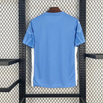 2025-26 Palmeiras Goalkeeper Blue S-4XL asasshop